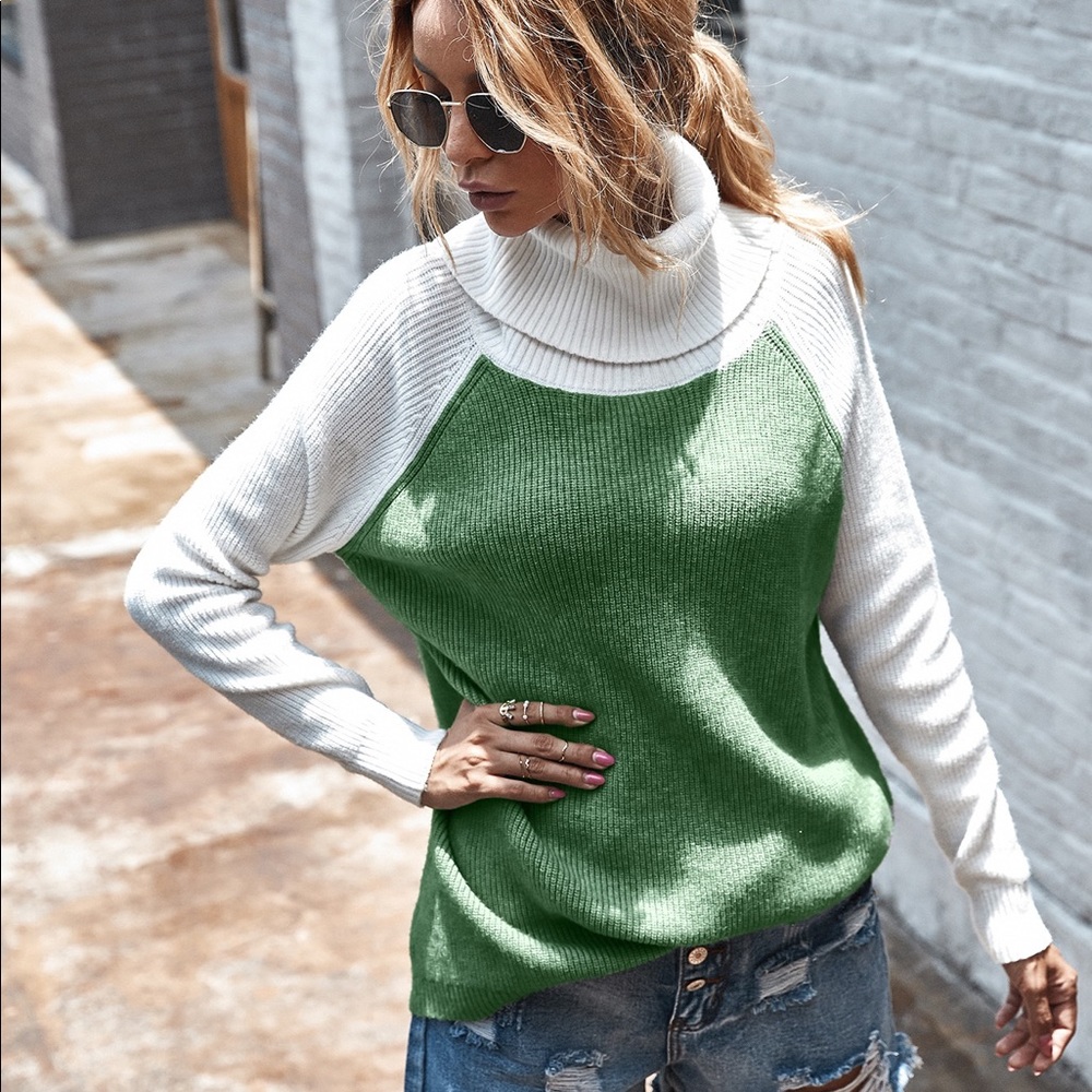 🍁🆕Olive Green & White Turtle Neck Sweater - Picture 3 of 7